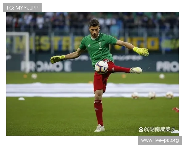 意甲恢复进展顺利预计下周全面回归赛场振奋球迷期待热切目光聚焦